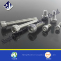 stainless steel 316 304 material hex socket cap screw